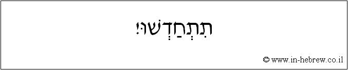 עברית: תתחדשו!