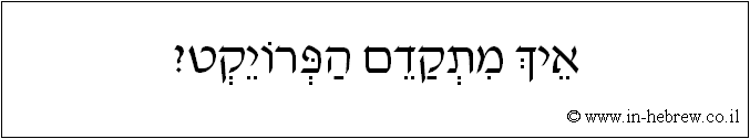 עברית: איך מתקדם הפרויקט?