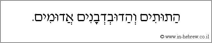 עברית: התותים והדובדבנים אדומים.