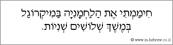 עברית: חיממתי את הלחמניה במיקרוגל במשך שלושים שניות.