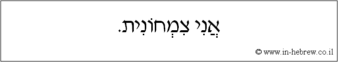 עברית: אני צמחונית.