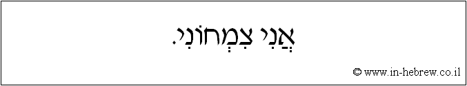 עברית: אני צמחוני.