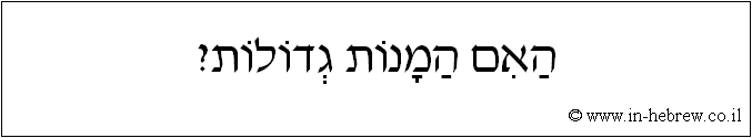 עברית: האם המנות גדולות?