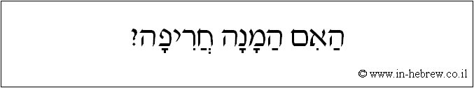 עברית: האם המנה חריפה?