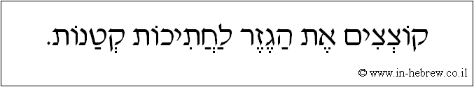 עברית: קוצצים את הגזר לחתיכות קטנות.