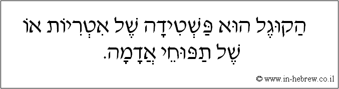 עברית: הקוגל הוא פשטידה של אטריות או של תפוחי אדמה.