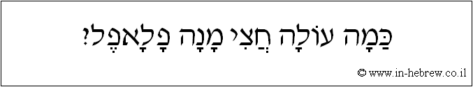 עברית: כמה עולה חצי מנה פלאפל?