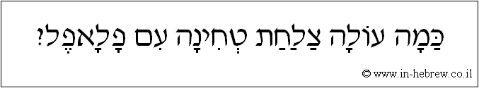 עברית: כמה עולה צלחת טחינה עם פלאפל?
