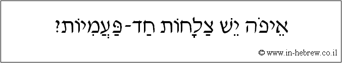 עברית: איפה יש צלחות חד-פעמיות?