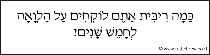 עברית: כמה ריבית אתם לוקחים על הלוואה לחמש שנים?