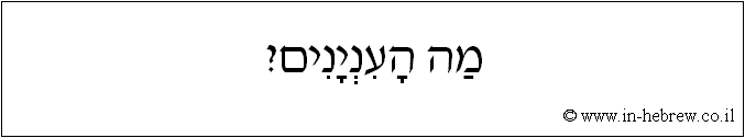 עברית: מה העניינים?