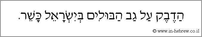 עברית: הדבק על גב הבולים בישראל כשר.