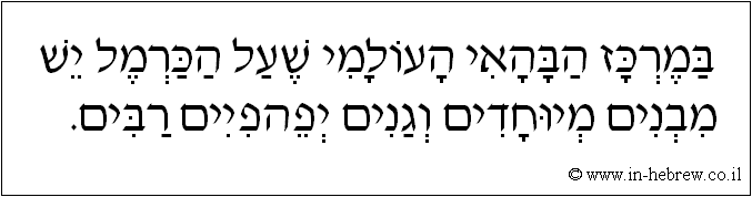 עברית: במרכז הבהאי העולמי שעל הכרמל יש מבנים מיוחדים וגנים יפהפיים רבים.