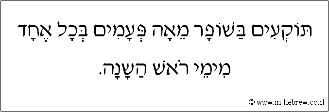 עברית: תוקעים בשופר מאה פעמים בכל אחד מימי ראש השנה.