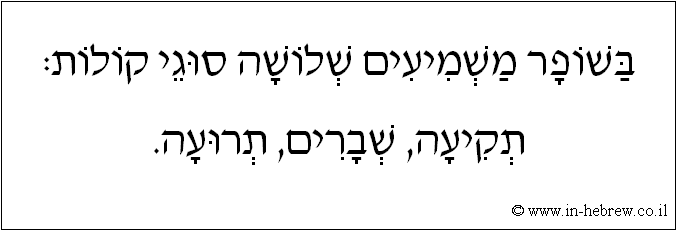 עברית: בשופר משמיעים שלושה סוגי קולות: תקיעה, שברים, תרועה.