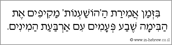 עברית: בזמן אמירת ה'הושענות' מקיפים את הבימה שבע פעמים עם ארבעת המינים.
