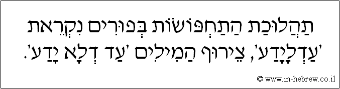 עברית: תהלוכת התחפושות בפורים נקראת 'עדלידע', צירוף המילים 'עד דלא ידע'.