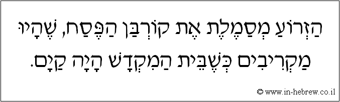 עברית: הזרוע מסמלת את קורבן הפסח, שהיו מקריבים כשבית המקדש היה קיים.