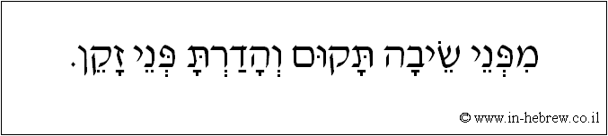 עברית: מפני שיבה תקום והדרת פני זקן.