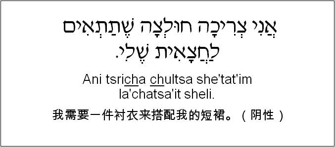 中文和希伯来语: 我需要一件衬衣来搭配我的短裙。（阴性）