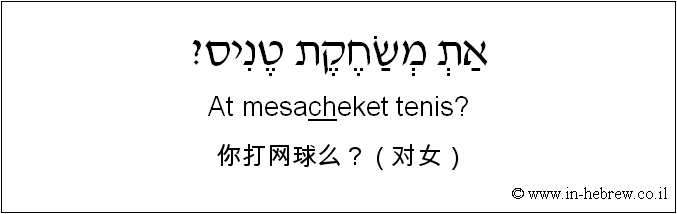 中文和希伯来语: 你打网球么？（对女）