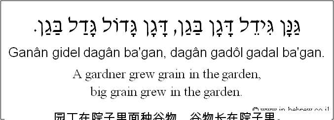中文和希伯来语: 园丁在院子里面种谷物，谷物长在院子里。
