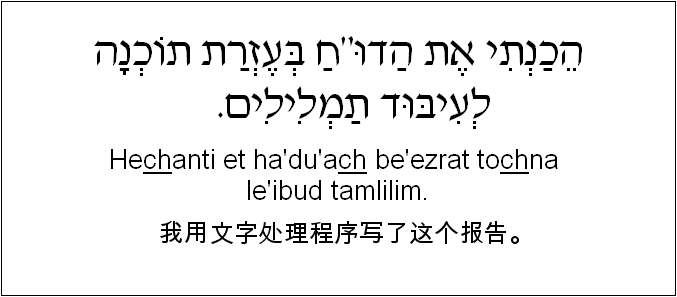 中文和希伯来语: 我用文字处理程序写了这个报告。