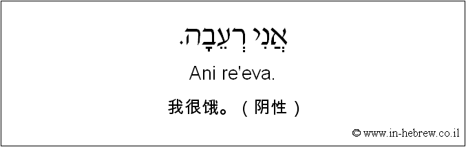 中文和希伯来语: 我很饿。（阴性）