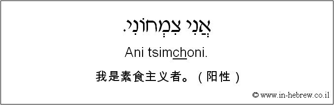 中文和希伯来语: 我是素食主义者。（阳性）