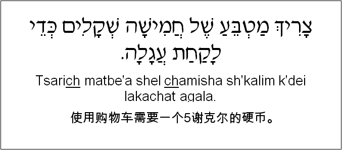 中文和希伯来语: 使用购物车需要一个5谢克尔的硬币。