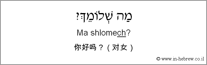 中文和希伯来语: 你好吗？（对女）