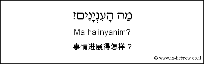 中文和希伯来语: 事情进展得怎样？