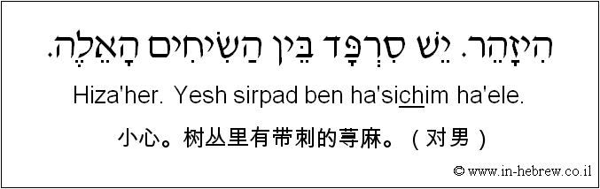 中文和希伯来语: 小心。树丛里有带刺的荨麻。（对男）