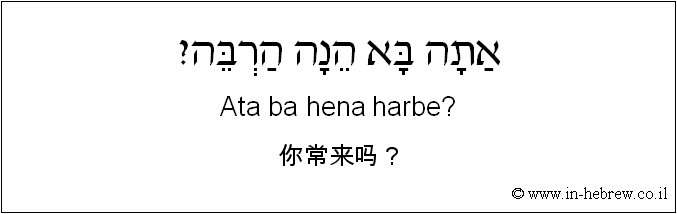 中文和希伯来语: 你常来吗？