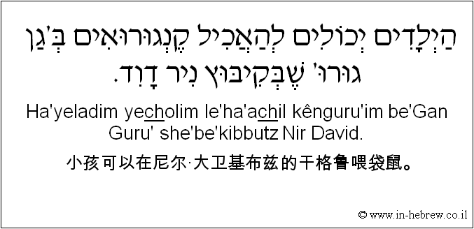 中文和希伯来语: 小孩可以在尼尔·大卫基布兹的干格鲁喂袋鼠。