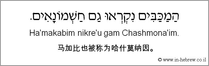 中文和希伯来语: 马加比也被称为哈什莫纳因。