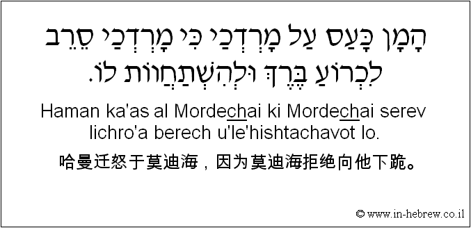 中文和希伯来语: 哈曼迁怒于莫迪海，因为莫迪海拒绝向他下跪。