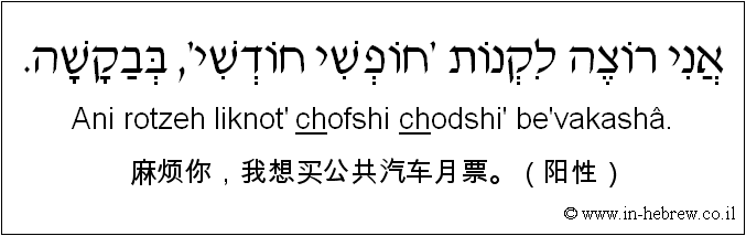 中文和希伯来语: 麻烦你，我想买公共汽车月票。（阳性）