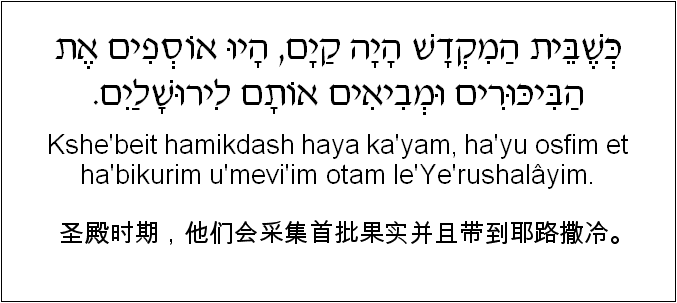 中文和希伯来语: 圣殿时期，他们会采集首批果实并且带到耶路撒冷。