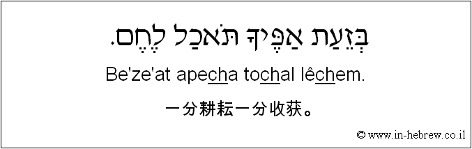中文和希伯来语: 一分耕耘一分收获。