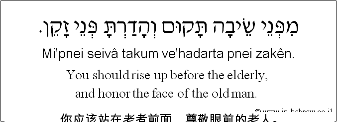 中文和希伯来语: 你应该站在老者前面，尊敬眼前的老人。