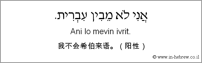 中文和希伯来语: 我不会希伯来语。（阳性）