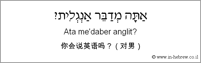 中文和希伯来语: 你会说英语吗？（对男）