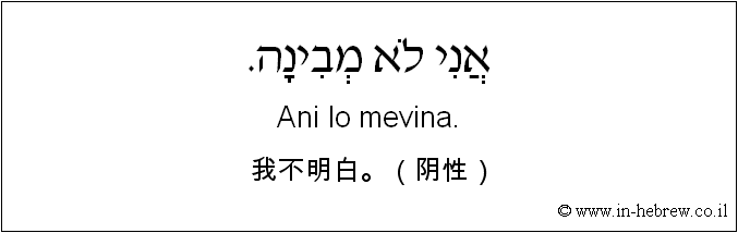 中文和希伯来语: 我不明白。（阴性）
