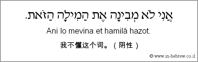中文和希伯来语: 我不懂这个词。（阴性）