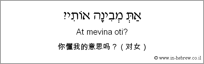 中文和希伯来语: 你懂我的意思吗？（对女）
