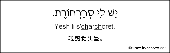 中文和希伯来语: 我感觉头晕。