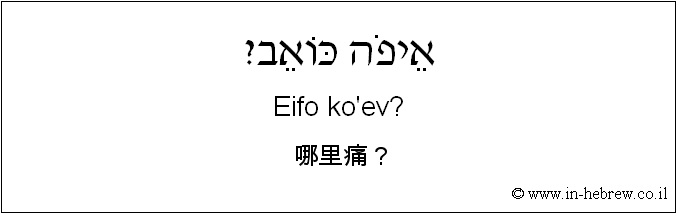 中文和希伯来语: 哪里痛？