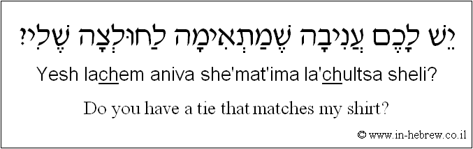 English to Hebrew: Do you have a tie that matches my shirt?