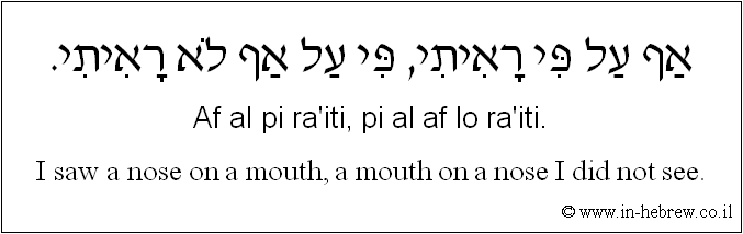 English to Hebrew: I saw a nose on a mouth, a mouth on a nose I did not see.
